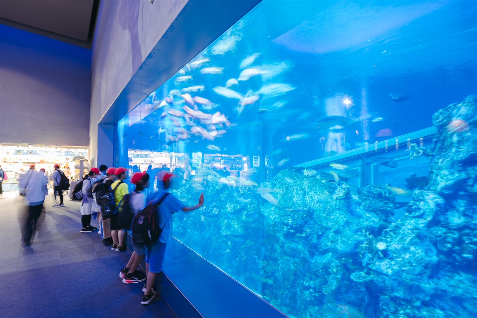 鳥羽水族館 大水槽